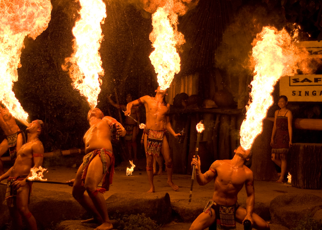 vườn thú night safari