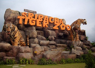 Tiger Zoo