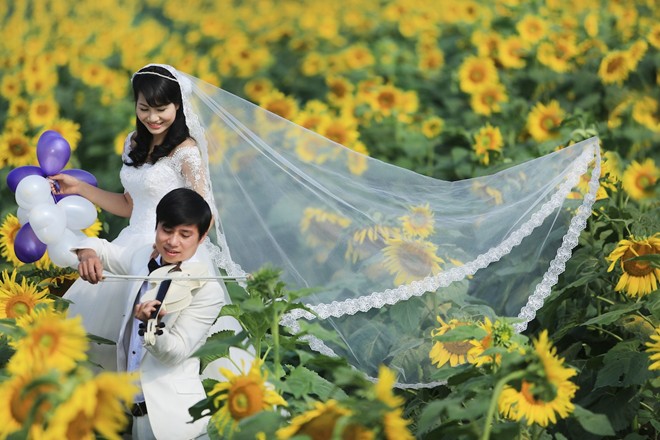 Đây là nơi lý tưởng để chụp những bộ ảnh cưới lung linh Đây là nơi lý tưởng để chụp những bộ ảnh cưới lung linh