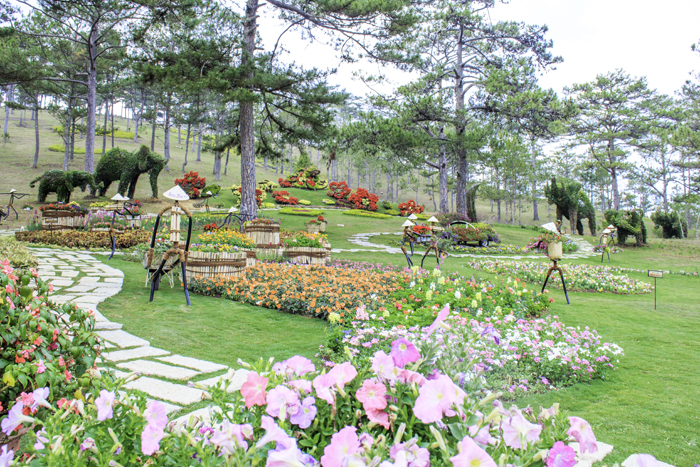 Phố hoa Phố hoa