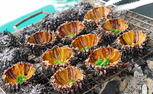 Cầu gai bổ dưỡng Cầu gai bổ dưỡng
