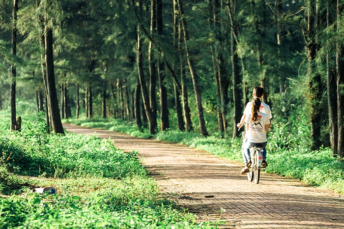 Con đường tình yêu lãng mạn Con đường tình yêu lãng mạn