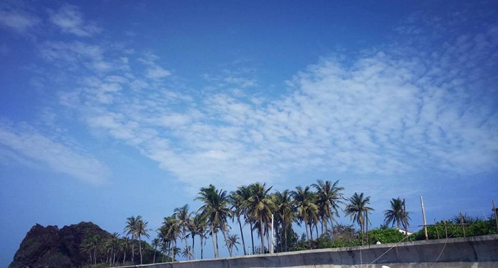 Những rặng dừa Đảo Bé tuyệt đẹp