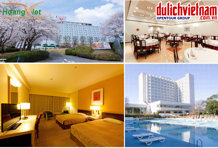 Nikko Narita Hotel