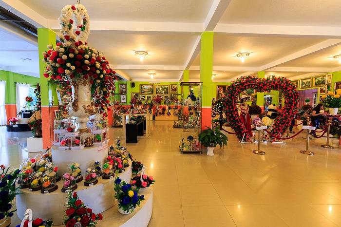 Khám-phá-showroom-hoa-khô