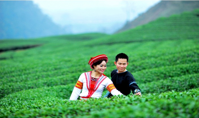 mộc châu mộc-châu