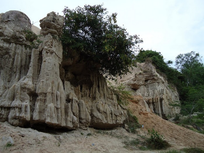 suoi-tien-5