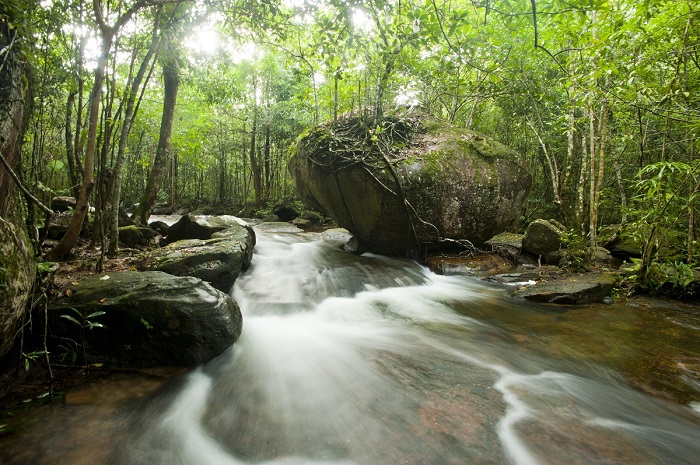 suoi-tranh-3