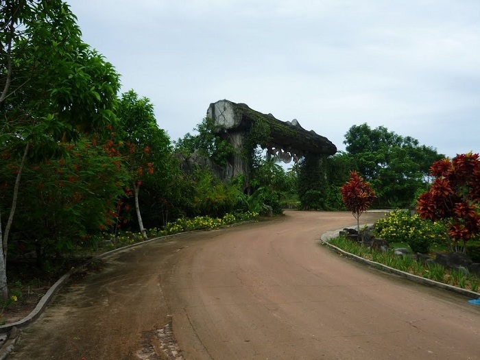 Suoi-tranh-1