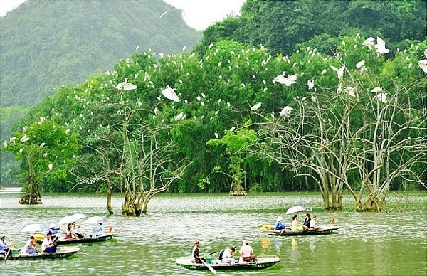 khu-sinh-thai-con-chim