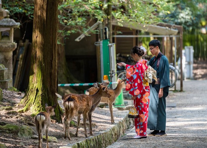 Công viên Nara Nhật Bản