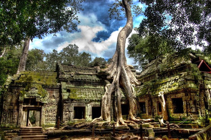 đền taprohm đền-ta-prohm
