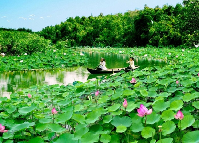 Du lịch Đông Tháp