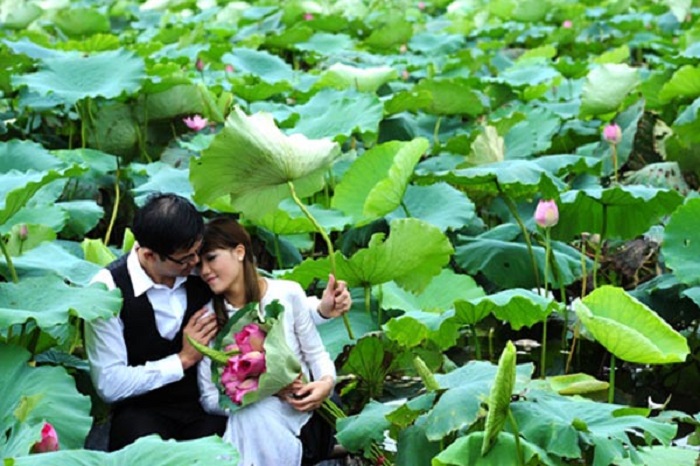 Khu du lịch Đồng Sen Tháp Mười