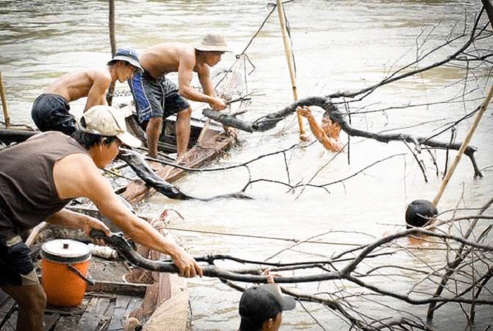 Giở chà bắt tôm