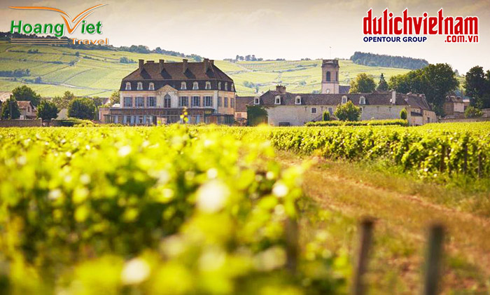  Beaune - thủ phủ rượu vang