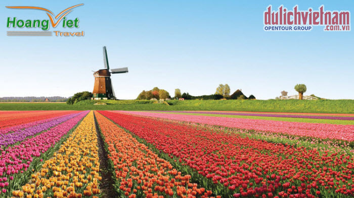 Chiêm ngưỡng lễ hội hoa Tulip lớn nhất thế giới