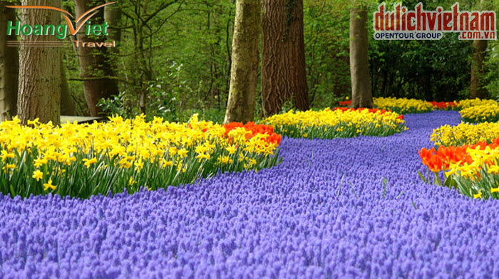 Lễ hội hoa Tulip