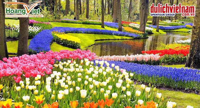 vườn hoa keukenhof