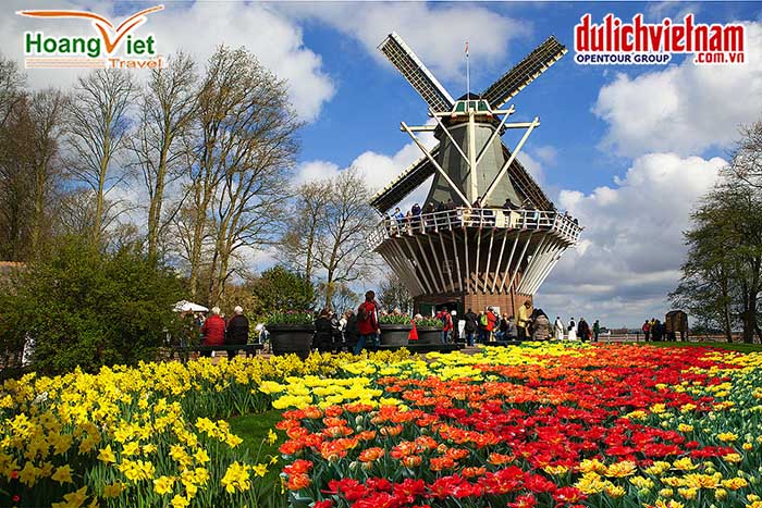Vườn hoa Keukenhof 