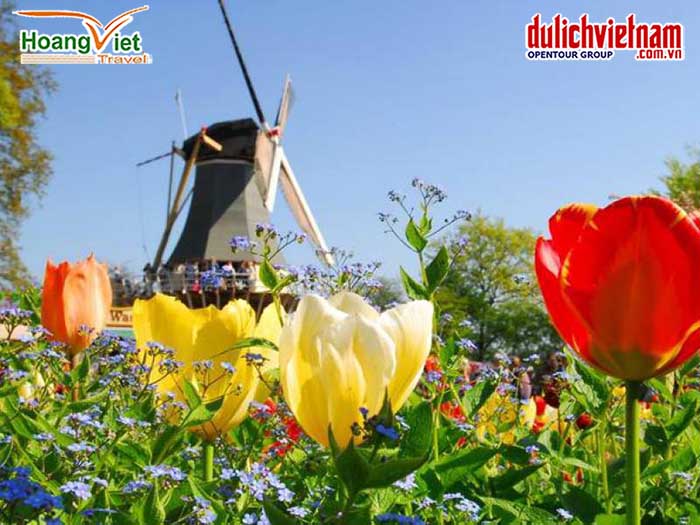 Vườn hoa Keukenhof 