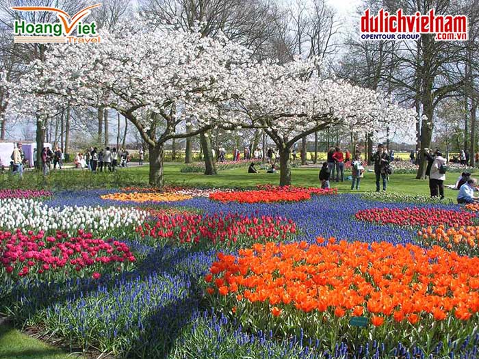 Vườn hoa Keukenhof 