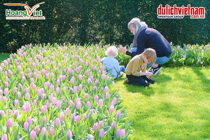Vườn hoa Keukenhof 