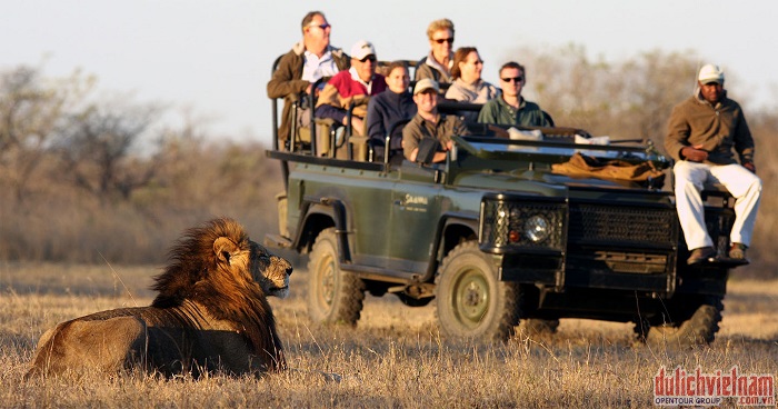 Game Drive