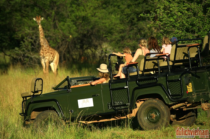 Game drive