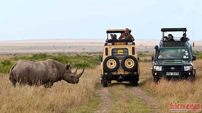 khu bảo tồn thiên nhiên hoang dã Masai Mara