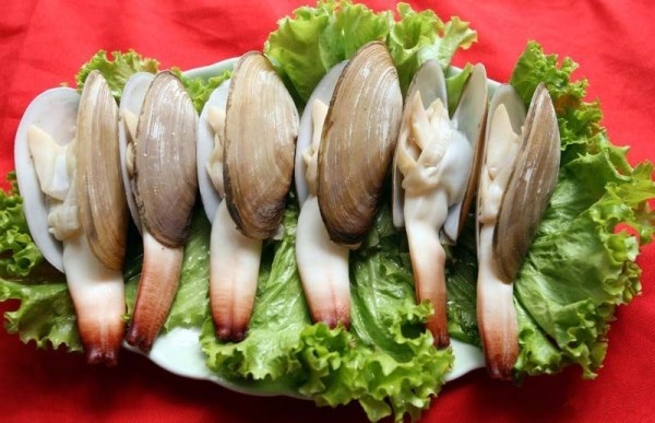 Hải sản ở Cô Tô Hải sản ở Cô Tô