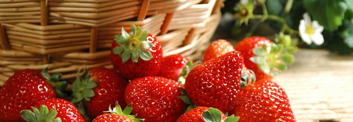 Những trái dâu tây đỏ mộng