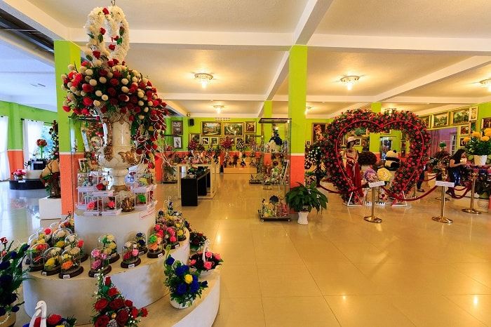 Showroom hoa khô nghệ thuật 