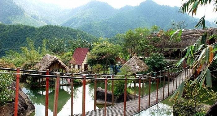 Cây cầu dây bắc ngang qua suối Hoa thật lãng mạn 