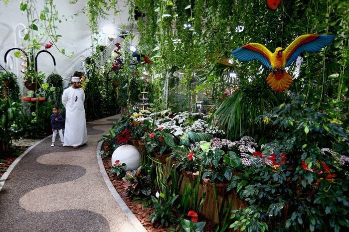 Dubai-Butterfly-Garden