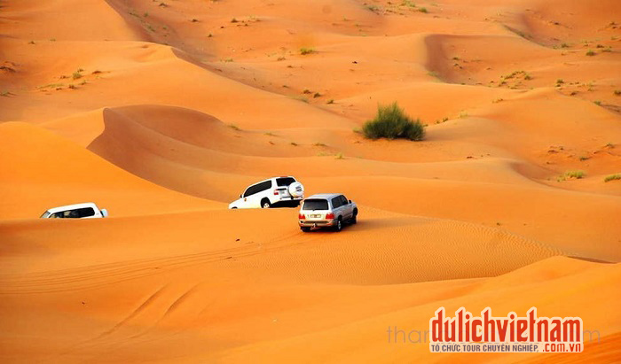 Sa mạc Safari