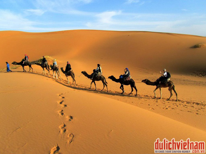 Sa mạc Safari 