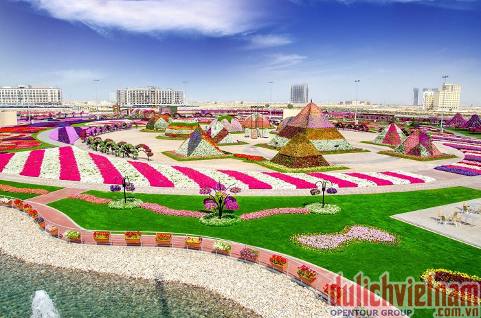 Vườn hoa Miracle Garden