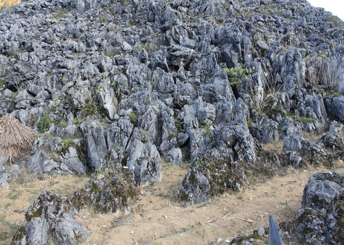 Cao nguyên đá Đồng Văn 