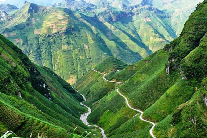 Mùa hè màu xanh bao phủ cả Hà Giang 