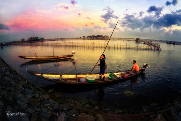 Cảnh sinh hoạt trên đầm Chuồn