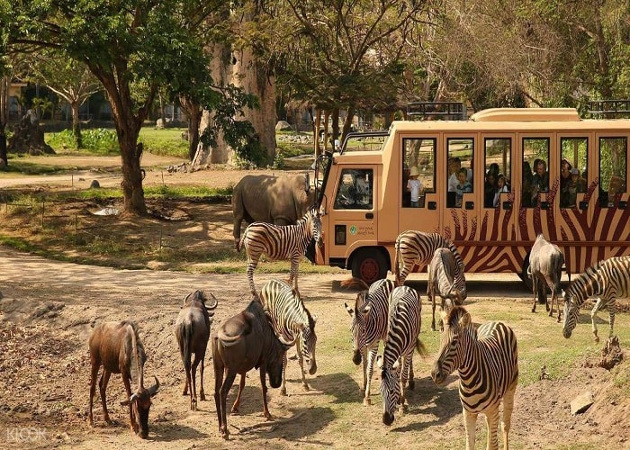 Công viên Safari 