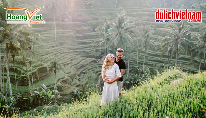 Đảo bali 