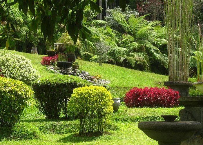Vườn thực vật Bogor 