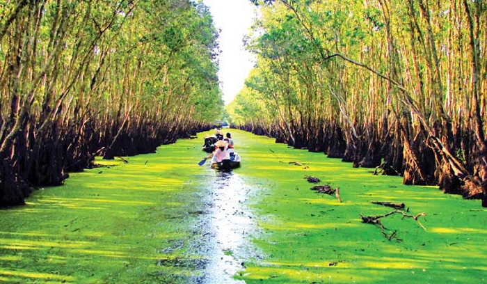 Tour du lịch miền Nam 2 ngày Rừng tràm Trà Sư