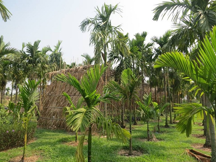 Tour du lịch hành hương 2019 Thập bát Phù Lâu Viên