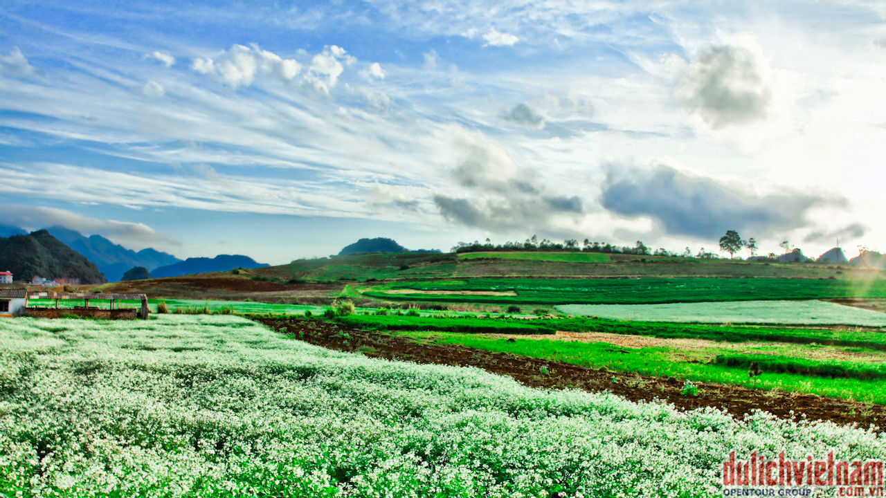 Tour Du Lịch Đông Tây Bắc 6 Ngày Từ Sài Gòn Giá Rẻ Tour Du Lịch Đông Tây Bắc 6 Ngày Từ Sài Gòn Giá Rẻ