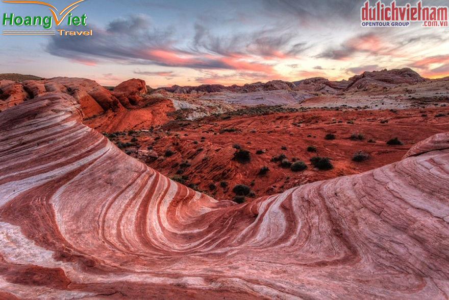 Vẻ đẹp hoang sơ của Sa mạc Mojave