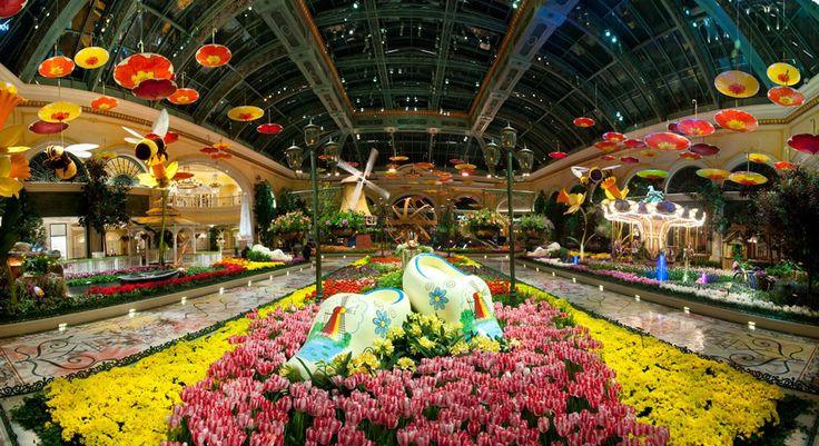 Vườn hoa ở khách sạn Bullagio