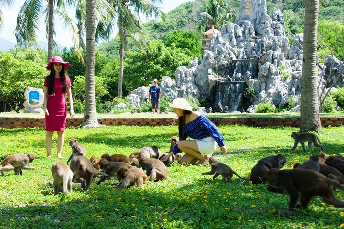 Đảo Khỉ Đảo-Khỉ